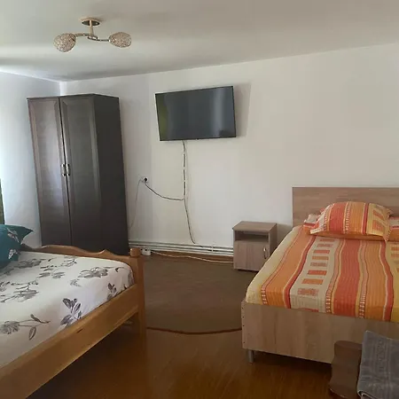 Penzion Pensiunea Casa Deny Novaci-Străini